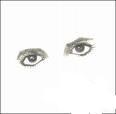 DESSIN